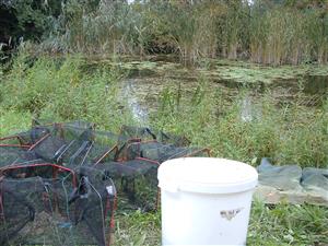 zber materiálu (inštalácia pascí)